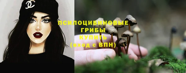 ПСИЛОЦИБИНОВЫЕ ГРИБЫ Баксан