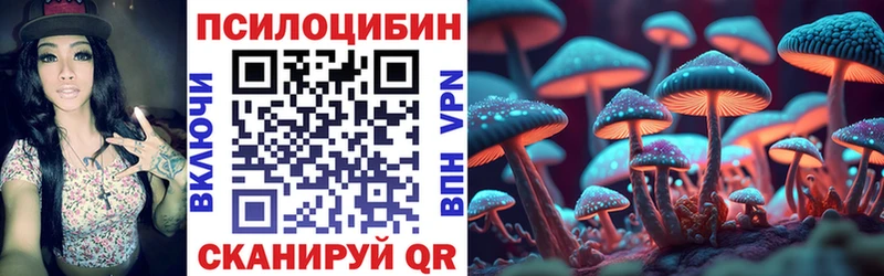 Галлюциногенные грибы MAGIC MUSHROOMS  omg ссылки  Заречный  сколько стоит 