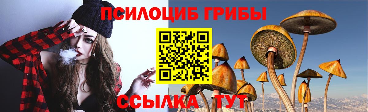 Галлюциногенные грибы Psilocybine cubensis Заречный
