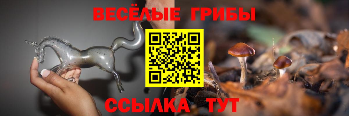Псилоцибиновые грибы ЛСД  Вход с VPN  Заречный 